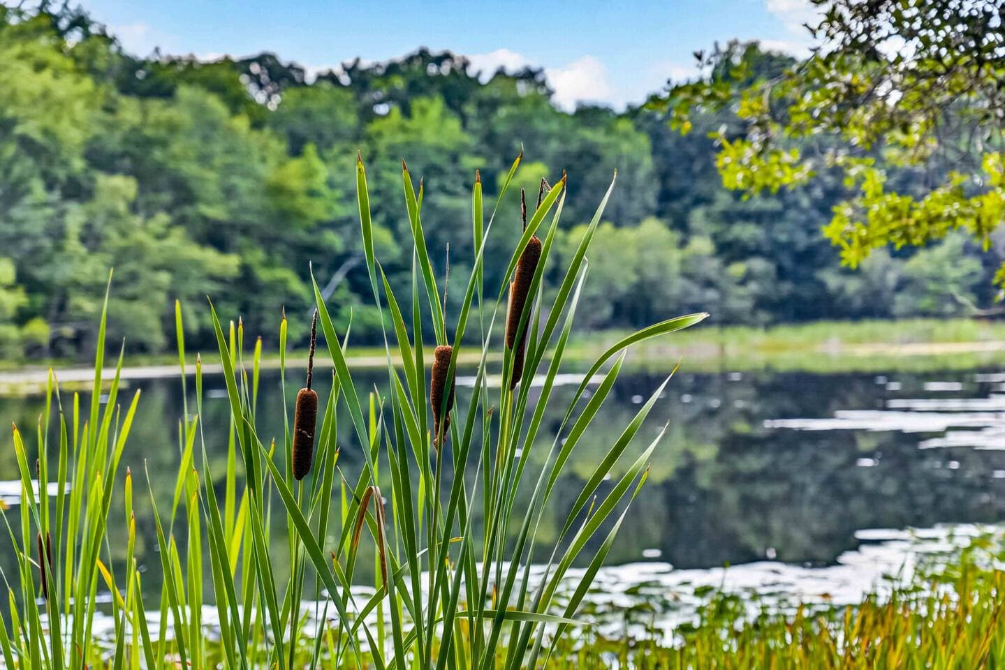 Lake Front Oasis Near Bushkill & Shawnee W Hot Tub